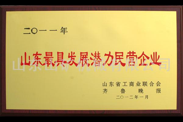 最具发展潜力民营企业